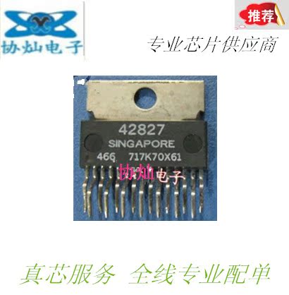 42827 Automotive Chip Delphi MT20 Automotive Engine Computer Idle Control Module Drive Chip