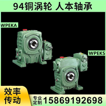 WPEKA WPEKS worm gear reducer variable speed gearbox with motor vertical pulley output hole