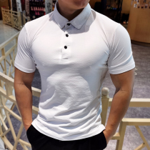 Sport Speed Dry Polo Polo Shirt Men Summer Turn Collar Short Sleeves Tight Fit Elastic Breathable Perspiration Fitness Trainer T-shirt