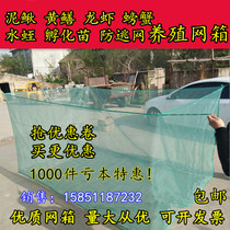 Customized with lid special Loach rice field eel lobster nylon cage fish cage table pull Net anti-escape net
