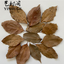 Natural dry leaves diy natural deciduous maple leaves bamboo leaves dead leaves standard dead leaves decoration shooting props real leaves