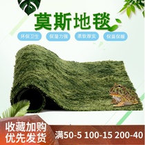 Reptile box Moss horned frog sponge Moss bottom mat rainforest carpet landscape creeper snake horned frog lizard carpet mat
