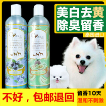 Imported dog cat pet whitening yellow white hair special shower gel sterilization and anti-itching Bath Shampoo