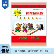Dalian Shenlong Four Star Sticky Rat Board 17 Strong Vigorously Catching the Mouse Stickler Stickler is home to the hotel
