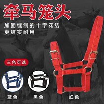 Horse cage set comes with chewing water water Le horse dragon set horse tune horse dragon set horse training horse dragon head set full set of Equestrian Equestrian Equestrian equipment