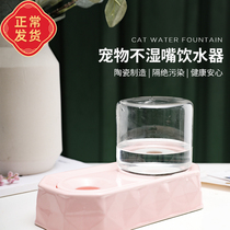 Pegg small cat ceramic pet not wet mouth water dispenser small mouth large face kitty water bowl Automatic water 600ml