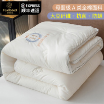 FOXIEDOX ANTIBACTERIAL SOYBEAN FIBER QUILT WINTER QUILT Thickened Warm Cotton Quilted By Spring Autumn Quilt Core Silk Cotton Air Conditioning Cotton Quilt