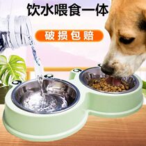 Cat bowl dog bowl cat food basin stainless steel pet double bowl medium and small dog drinking device Cat Basin Dog Basin Teddy dog supplies