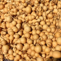 Low Price Natural feng shui cheap gourd students create DIY practice painting pendants ornaments