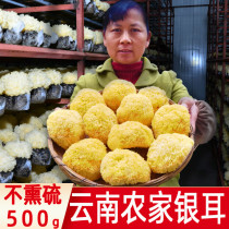 Yunnan farmhouse self-produced white fungus white fungus white fungus soft waxy 500g