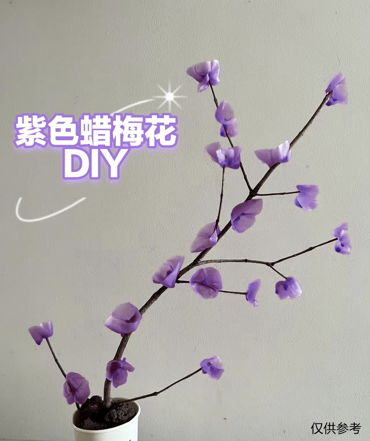 蜡花-蜡花促销价格、蜡花品牌- 淘宝, image size:1280x1528