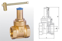 EMECO 115 brass thickened wire mouth with lock gate valve lock thread valve DN20 (6 points) store