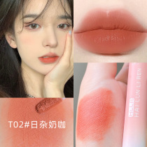 Plain Lip Glaze Matte lasting non-fading lipstick female cheap student summer milk coffee meat color nude yellow skin white