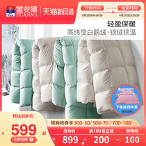  Fuanna home textile duvet white goose down winter quilt thickened winter warm single double spring and autumn four seasons quilt core