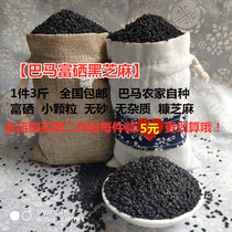 Guangxi Bama black sesame 21 years of fresh small particles sesame farmers grow black hair chaff Sesame 3kg