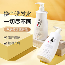 Tao rice water shampoo oil control fluffy anti-itching official shampoo soft improvement frizz suit women