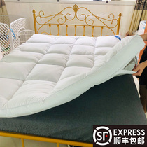 Hilton same 10cm five-star hotel mattress upholstered household cushion thickened winter super soft cushion soft