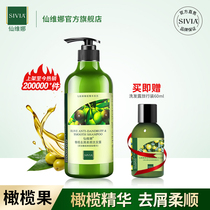 Senvina olive anti-dandruff supple shampoo Long-lasting fragrance refreshing oil control shampoo Shampoo cream for men and women