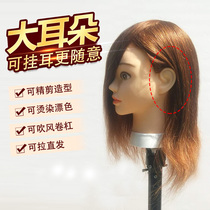 True hair head model apprentice haircut big ear head model hairdresser hairdresser hair styling doll head hot dyeing drift bar blowing