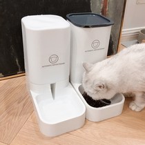 Feed the cat Feed the water refill the feeding device Feeding basin Drinking water feeding machine Cat diet automatic feeder Cat