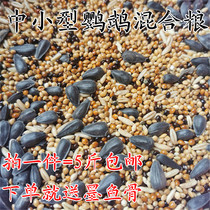 Tiger skin peony Xuanfeng small and medium-sized parrot bird food feed five-color millet parrot mixed nutritional food Millet