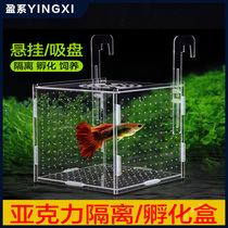 Fish tank fry isolation box Protects small fry Small suspended guppy breeding box Fry incubator Fish