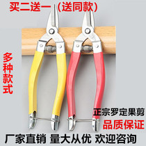 Grade A Luo Guo Shears Medium Yellow and Yellow Fruit Shears Garden Shears Stainless Steel Fruit Picking Shears Orange Scissors Pruning Shears