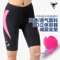 TADAN Spring Autumn Season Dynamic Bike Riding Shorts Riding Pants Women Bike Road Mountain Bike Road Mountain Bike Riding Clothing