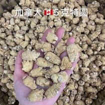 Canadian American ginseng grain head 500g special grade flower ginseng pruning section 1 5g small grain head-20g large grain head
