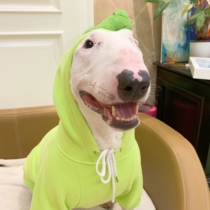 Fluorescent green plus velvet hooded clothes pet big dog clothes Bullhead terrier fighting fighting Koki Labrador clothing