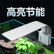 Fish tank light LED light Grass tank light Mini small clip light Aquarium water plant light Waterproof small energy-saving lighting