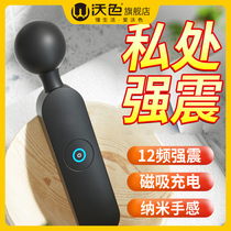 Sex toys abnormal female sex equipment a vibration rod used by a woman a self-comforting device a female second tide device a private part