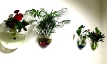 Creative Wall flower pot pendant living room wall three-dimensional Wall Wall Wall fish tank wall decoration wall hanging
