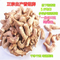 Shennong frame produces wild mushroom feet mushroom leg shipya mushroom mushroom mushroom