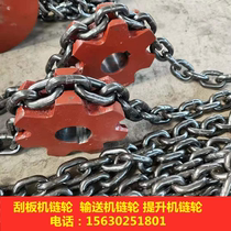 Set made squeegee conveyor chain wheel bucket type lifter sprockets 40T squeegee machine sprockets Industrial Squeegee machine sprockets