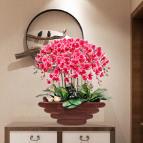 And home feel Phalaenopsis potted fake flower simulation flower ornaments Living room entrance decorative flowers Plastic flower decoration high-grade