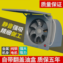 High Power 10 Inch Powerful Home Kitchen Ventilator Pumping Smoke Exhaust Fan Window Style Exhaust Fan Wall Type exhaust fan