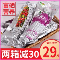 (Selenium-enriched corn) Hejiu organic fresh glutinous corn aluminum foil vacuum packaging non-GMO large Head 4
