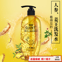 Jiayun official new silicone oil-free ginseng ginger shampoo dandruff control oil nourishing hair supple conditioner set