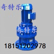 Cycloid reducer BLED141 2715-99-121-187-289-385-473-595-2 2KW