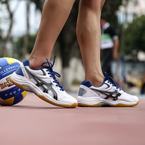 Volleyball shoes playing volleyball sports shoes mens and womens air row competition training shoes breathable wear-resistant beef tendon handball shoes