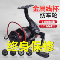 Fishing Wheels Spinning Wheels 13 Shafts Full Metal Wire Cups Fish Wire Wheel Sea Rod Wheel Road Subwheel Far Throw Wheel Sea Rod