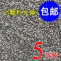 Small particles Hemp seeds Hemp seeds Hemp kernels Parrot bird food Bird food Bird feed Hamster food Squirrel food 5 pounds
