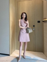 2023 Summer Tobacco Pink Double Row Closed Career Dress Commuter A - Letter Dress