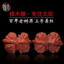 Wenwen Walnut Collection grade heat recommended origin direct sales hot new listing