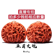 Wenwen walnut boutique four buildings Lion head grinding plate official hat tiger head Wild niche handlebar antique collection