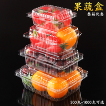Disposable transparent fruit plastic box with lid fresh fruit fishing cut vegetable cherries strawberry dried fruit packaging