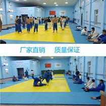 Judo training mat Non-slip wrestling mat Jiu-jitsu martial arts Sanda somersault match mat Fight wrestling cover Single cover cloth