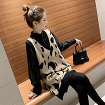 Pregnant women dress spring and autumn suit fashion model 2021 autumn pregnancy new long sleeve foreign air tide hot mom out