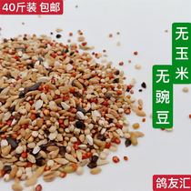 No corn-free pea small particle feed ornamental pigeon short-bred pigeon breeding Pigeon Pigeon Pigeon feed